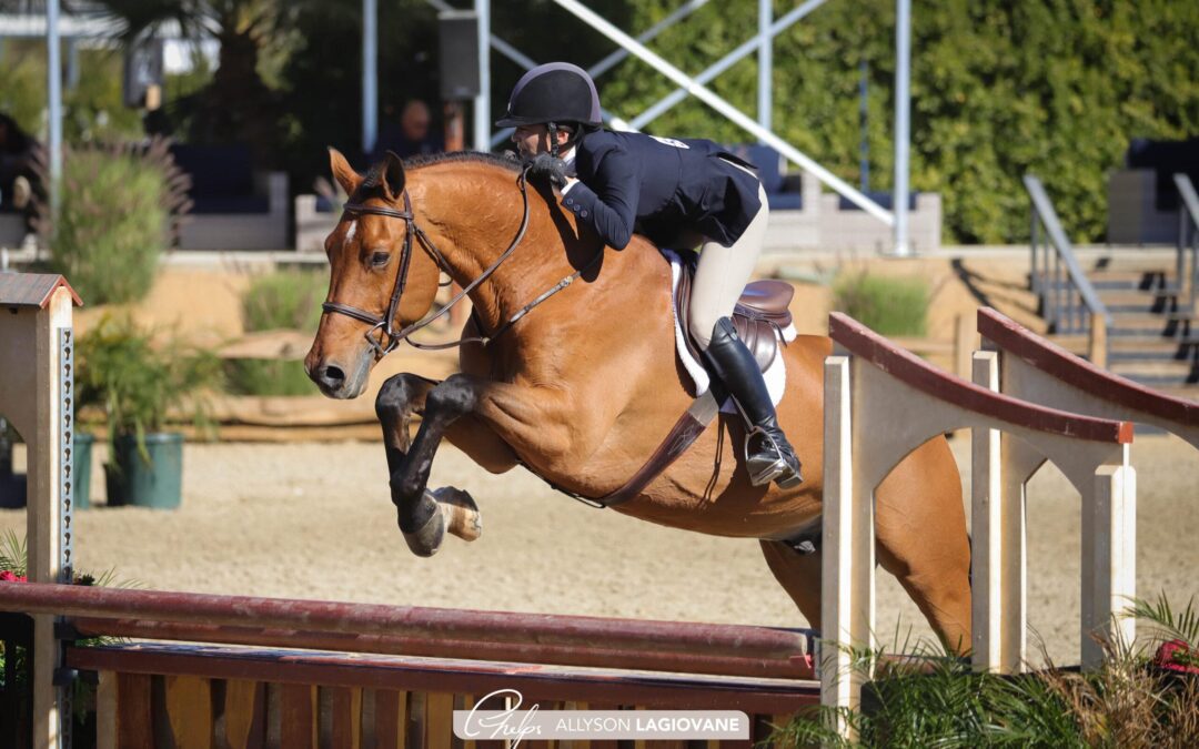 Christina Smith and Soon To Be Bring Home Championship in Thumbs UP Farm Amateur-Owner 3’3” Hunter 36 & Over
