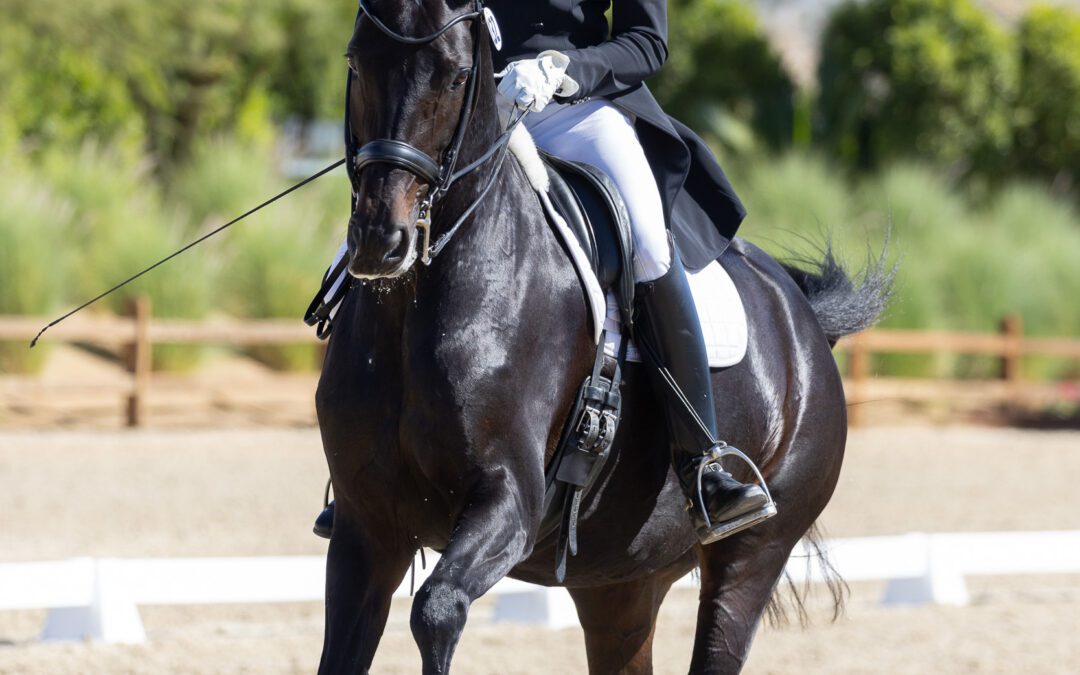 David Blake Walks Away with Wins Saturday at Desert Dressage I