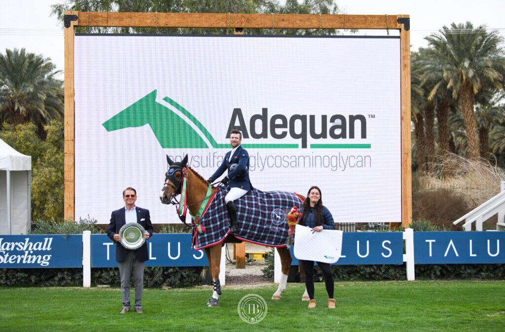 Gregory Wathelet Plays his Ace Of Hearts in $38,700 CSI3* Speed