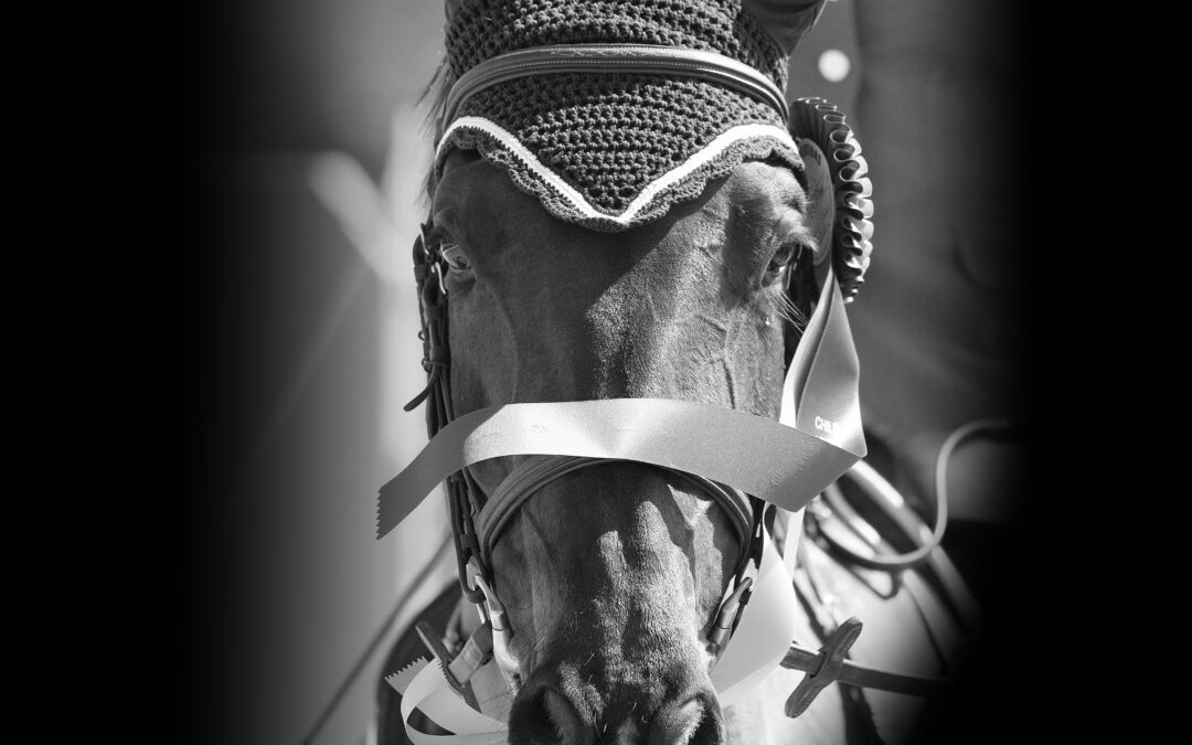 Arizona Winter Circuit Returns for 2024 Season