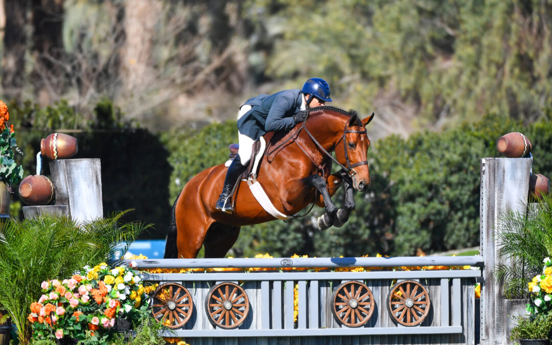 Nick Haness and Navarino Go Two-For-Two in USHJA National Hunter Derbies