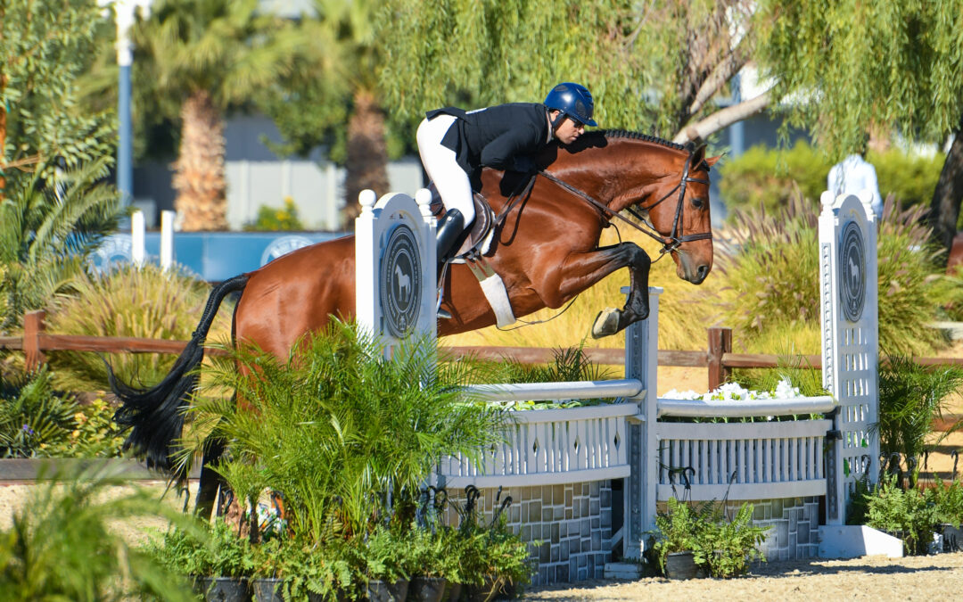 Nick Haness and Navarino are Number One in $5,000 USHJA National Hunter Derby – Open at Desert Circuit 1
