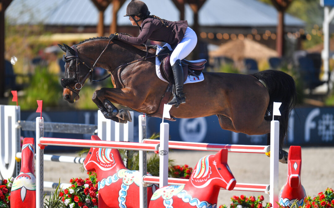 Megan McDermott and Nintendo go to Next Level in $32,000 BRAINJUICE CSI3* 1.50m Speed