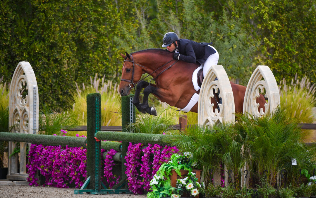 Nick Haness and Navarino Go Three-For-Three in National Hunter Derbies