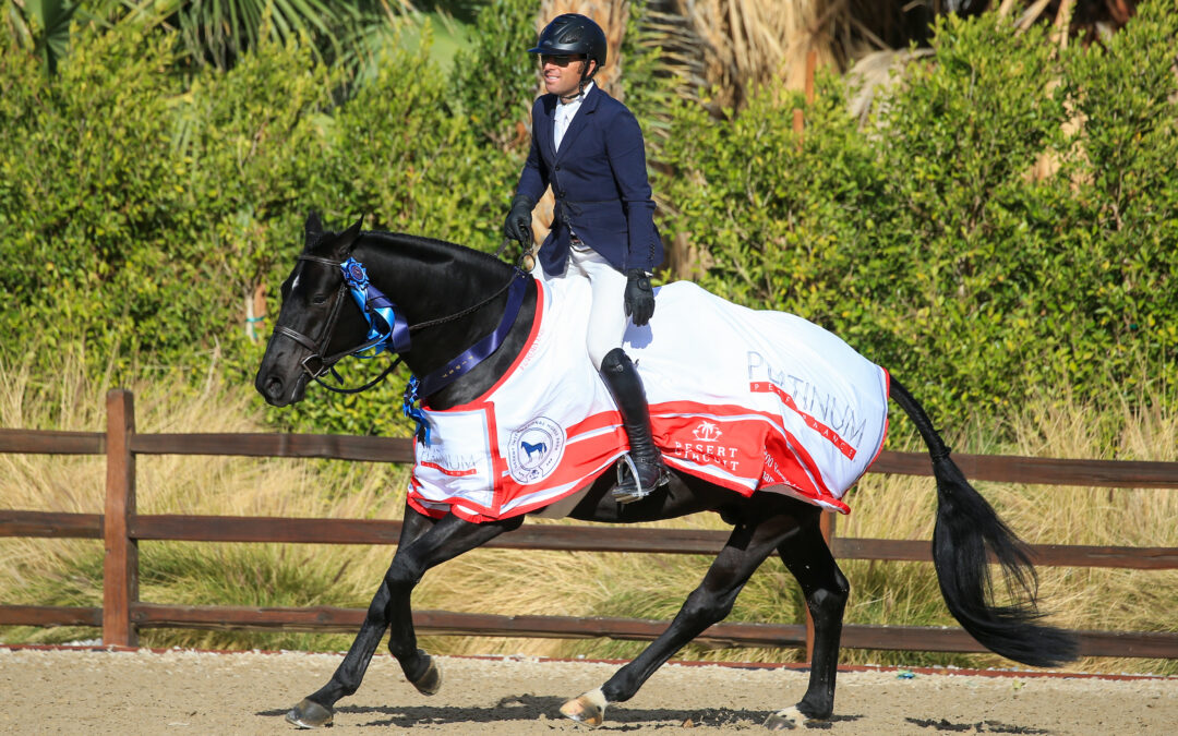 Nick Haness and South Coast are Winning on the West Coast