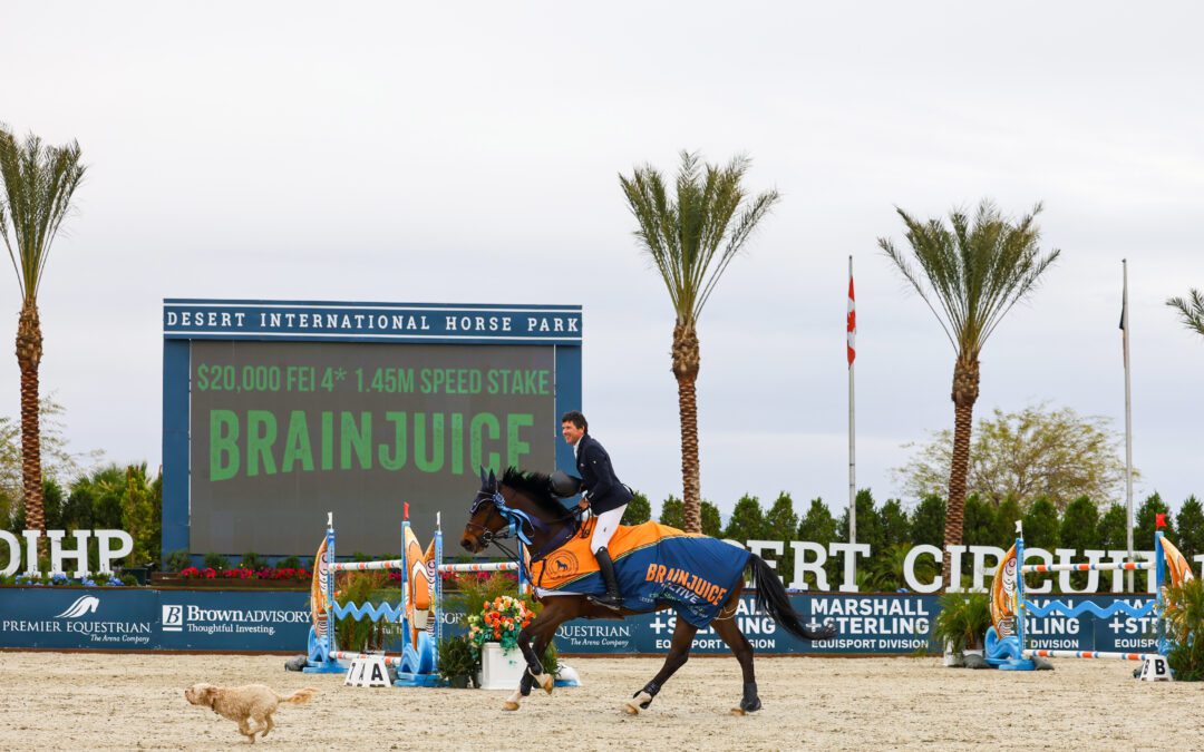 Conor Swail and His “Serial Winner” Speed to Victory in $20,000 BRAINJUICE CSI4* Speed Stake